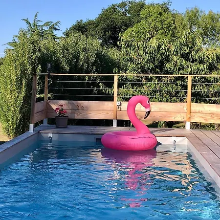 Semesterbostad 15 Pers - 9 - Piscine Chauffee - Animaux Acceptes